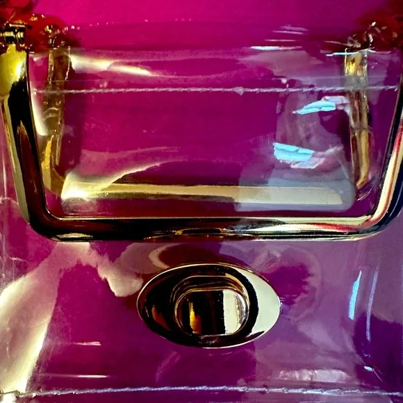 NIP Clear PVC Crossbody with gold chain. Gold hardware- wallet not included. - Picture 5 of 7